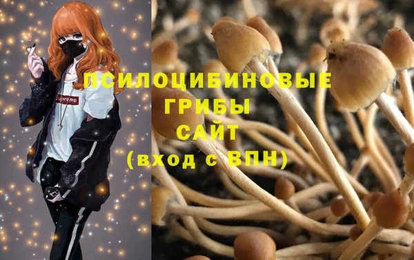 прущий лед Шенкурск