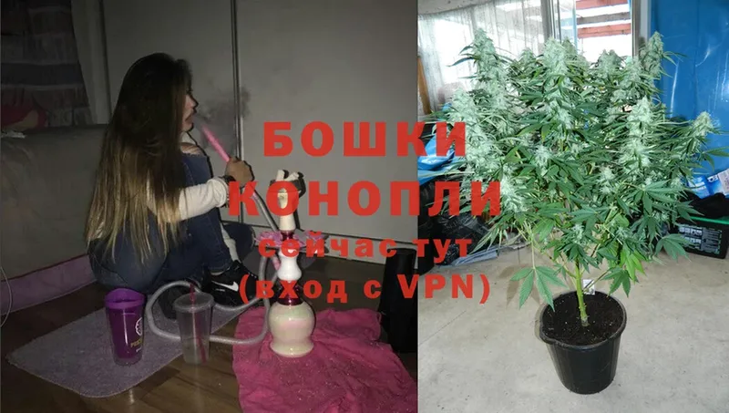 МАРИХУАНА White Widow  это наркотические препараты  Артёмовск 