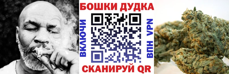 Конопля план  Артёмовск 